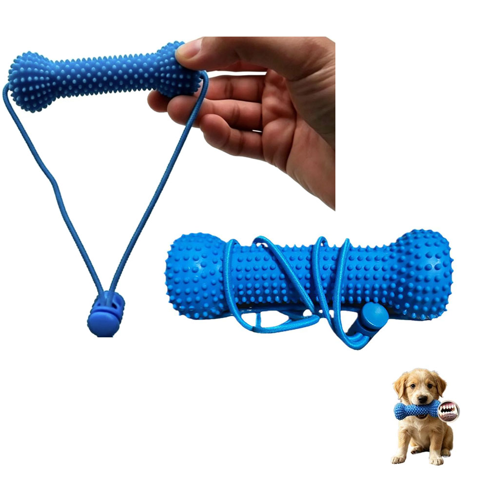 Teeth Cleaning Dog Chew Bone - 강아지 치아 청소용 씹는 장난감 내구성