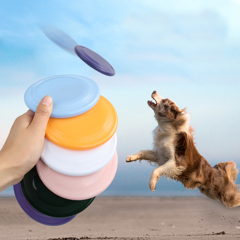 Flying Disc Dog Training Toy - 재미있는 비행 쏘서 개 장난감, 개