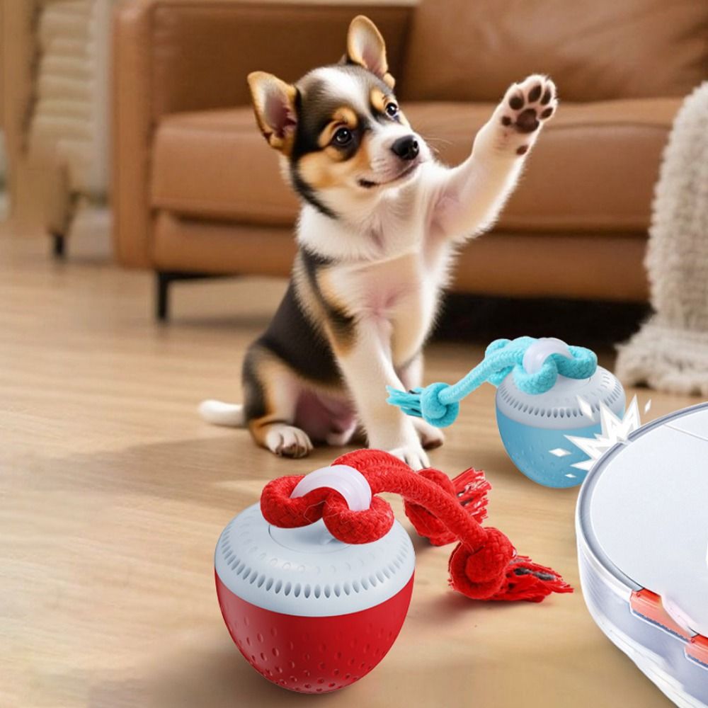 내구성 강한 스마트 펫 토이 볼 랜덤 경로 USB 충전 - Automatic Moving Dog Ball 리뷰 및 가격
