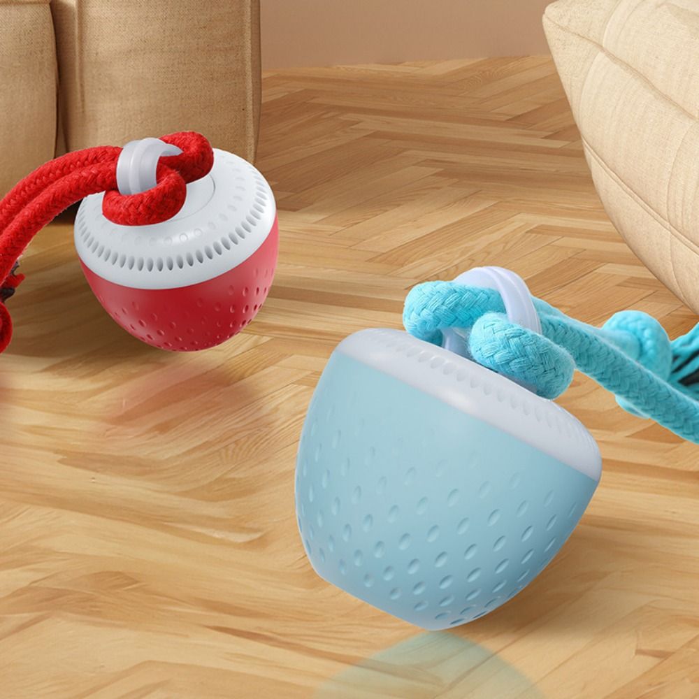 내구성 강한 스마트 펫 토이 볼 랜덤 경로 USB 충전 - Automatic Moving Dog Ball 리뷰 및 가격