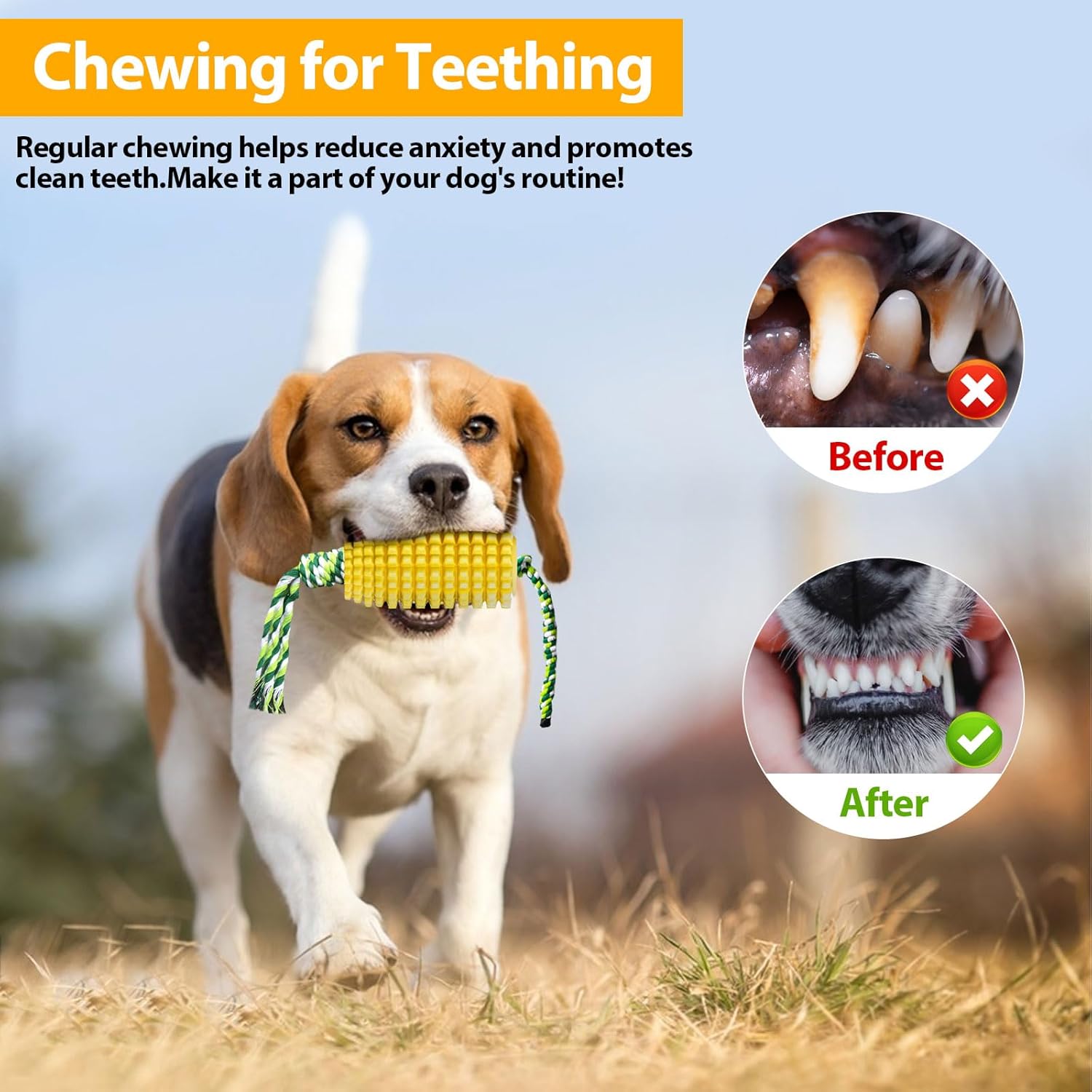 공격적인 씹는 습관을 가진 강아지를 위한 옥수수 모양의 - Dog Rope Toy Aggressive Chewers 리뷰 및 가격