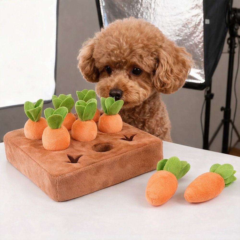 스트레스 해소용 당근 모양 씹는 장난감, 정서적 자극을 - Snuffle Mat For Dogs 리뷰 및 가격