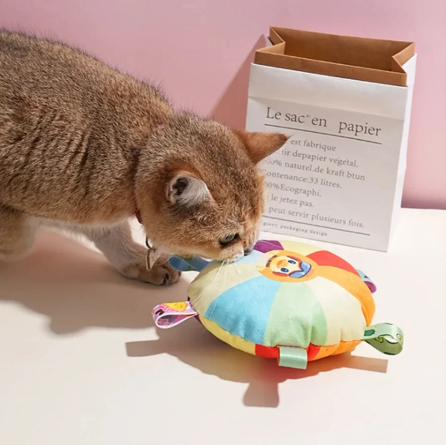 강아지 플러시 장난감 인터랙티브 플라잉 디스크는 물림과 - Flying Disc Dog Training Toy 리뷰 및 가격
