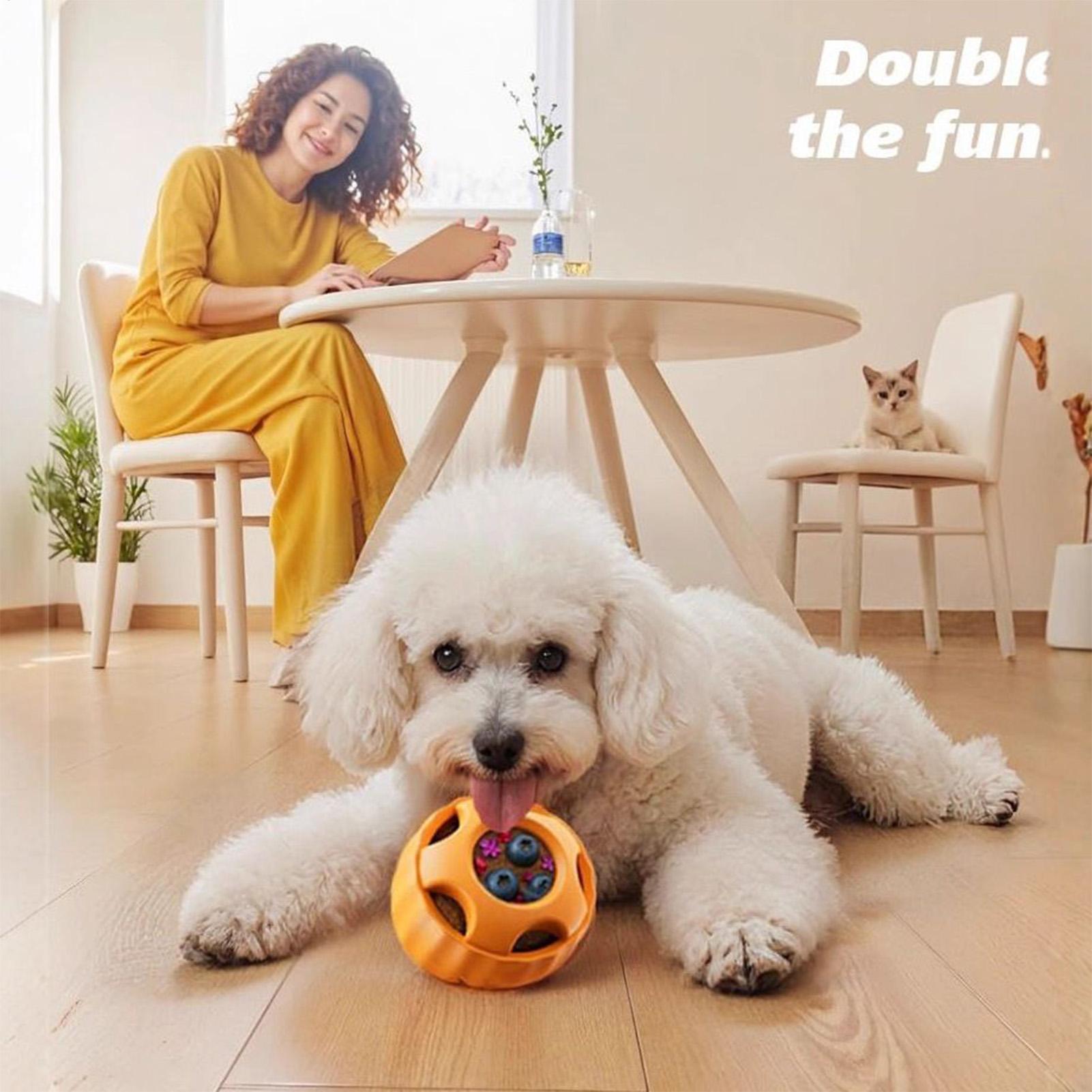 간식 배출 강아지 장난감 간식 배출 퍼즐 게임 슬로우  - Dog Puzzle Feeder Toy 리뷰 및 가격