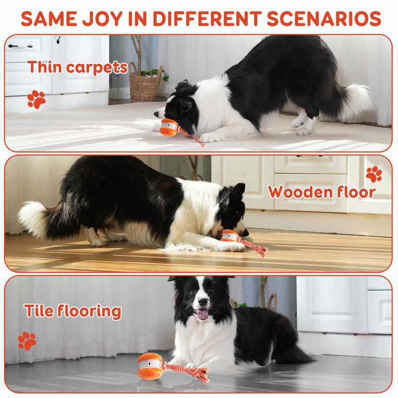 스마트 전기 인터랙티브 애완동물 장난감 공 자동 롤링  - Automatic Moving Dog Ball 리뷰 및 가격