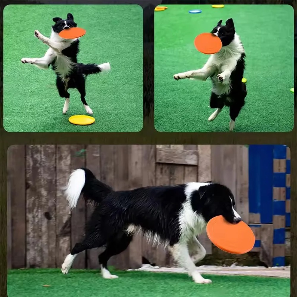 강아지 플라잉 디스크 TPR 애완동물 장난감 인터랙티브 - Flying Disc Dog Training Toy 리뷰 및 가격