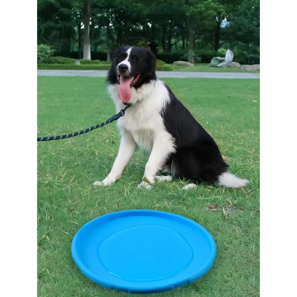 강아지 플라잉 디스크 TPR 애완동물 장난감 인터랙티브 - Flying Disc Dog Training Toy 리뷰 및 가격