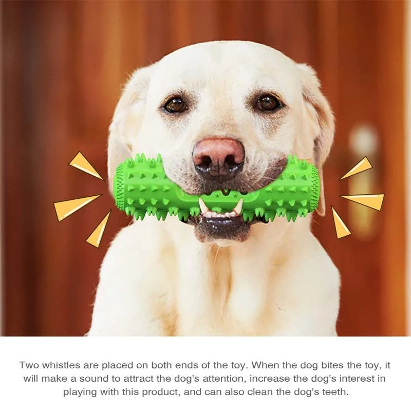 삑삑 소리가 나는 강아지용 씹는 장난감, 치아 세정 기 - Rubber Treat Dispensing Dog Toy 리뷰 및 가격