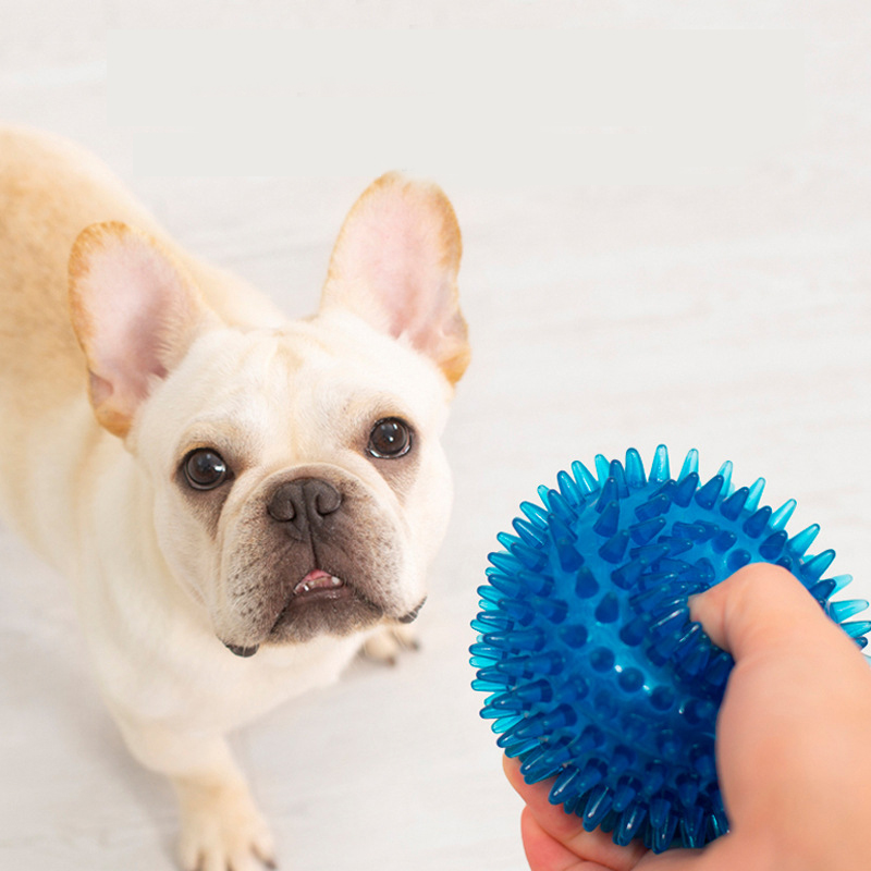 높은 탄성 프랑스 불독 애완 동물 놀이 공 장난감 물린 - Interactive Squeaky Plush Dog Toy 리뷰 및 가격