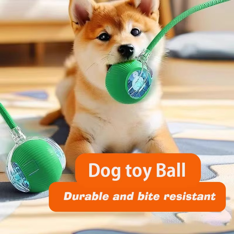 새로운 강아지 인터랙티브 볼 장난감 자동 롤링 볼 충전 - Automatic Moving Dog Ball 리뷰 및 가격