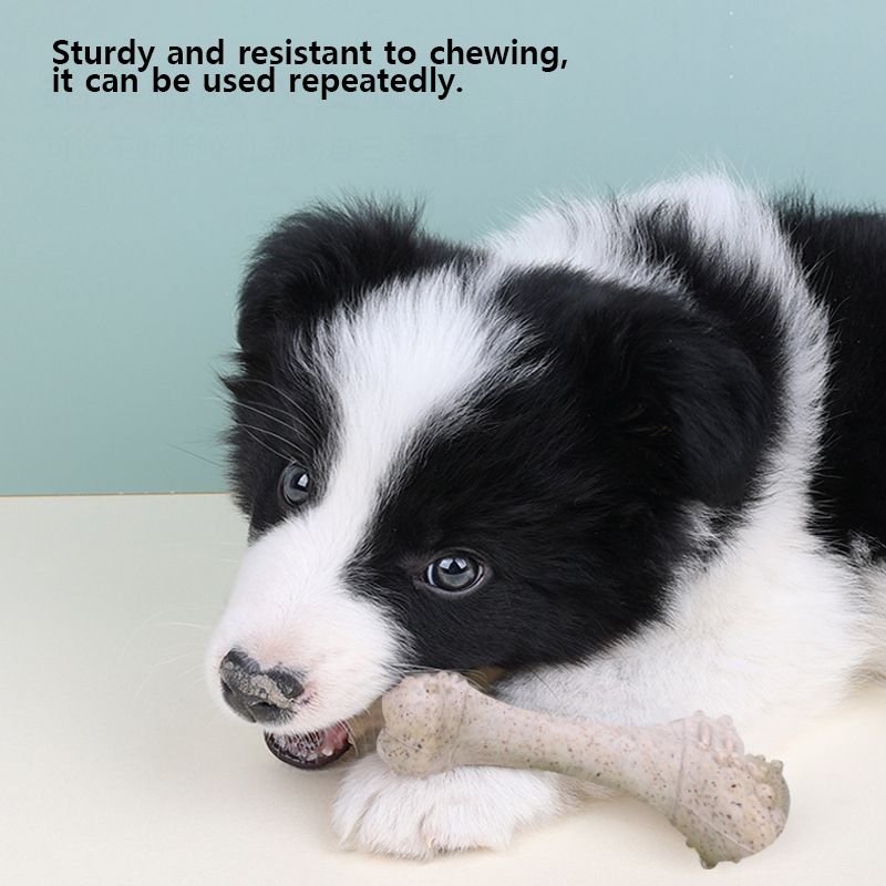 12cm 애완동물 장난감, 강아지용 치아 관리용 뼈 모 - Teeth Cleaning Dog Chew Bone 리뷰 및 가격
