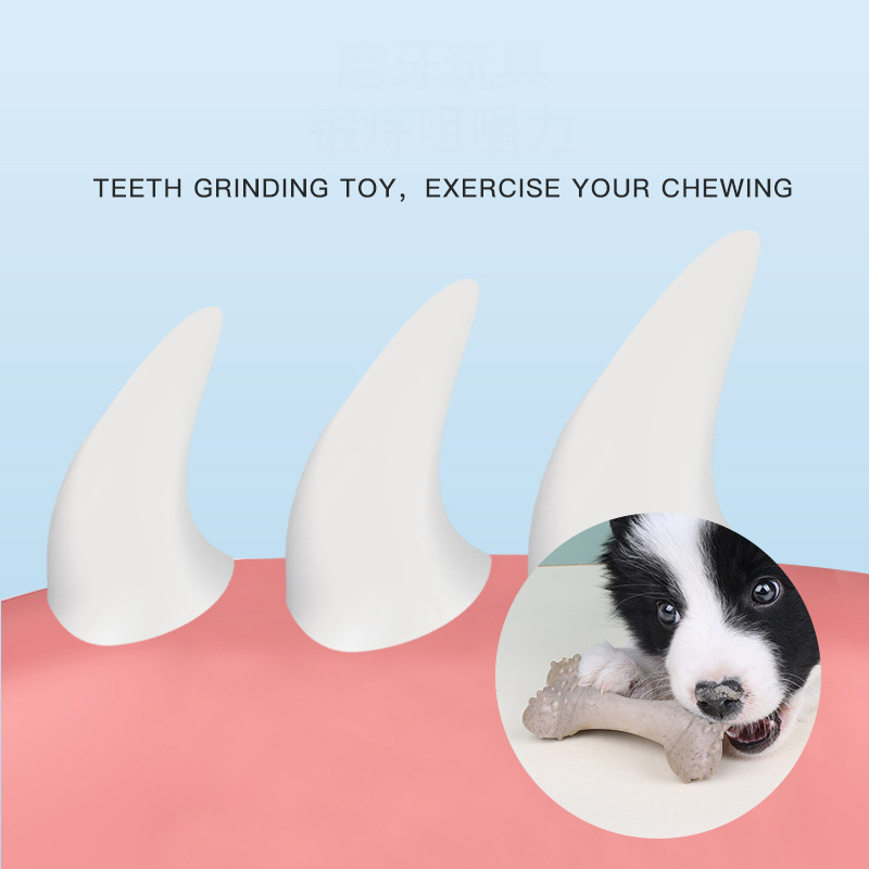 12cm 애완동물 장난감, 강아지용 치아 관리용 뼈 모 - Teeth Cleaning Dog Chew Bone 리뷰 및 가격