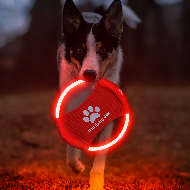 LED 강아지 플라잉 디스크, LED 라이트 강아지 플 - Flying Disc Dog Training Toy 리뷰 및 가격
