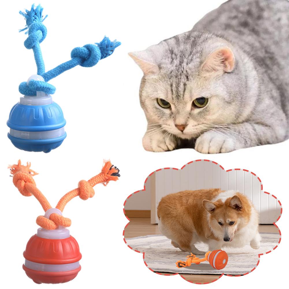 스마트 충전식 강아지 공, 동작 감지 자동 이동 삑삑이 - Automatic Moving Dog Ball 리뷰 및 가격