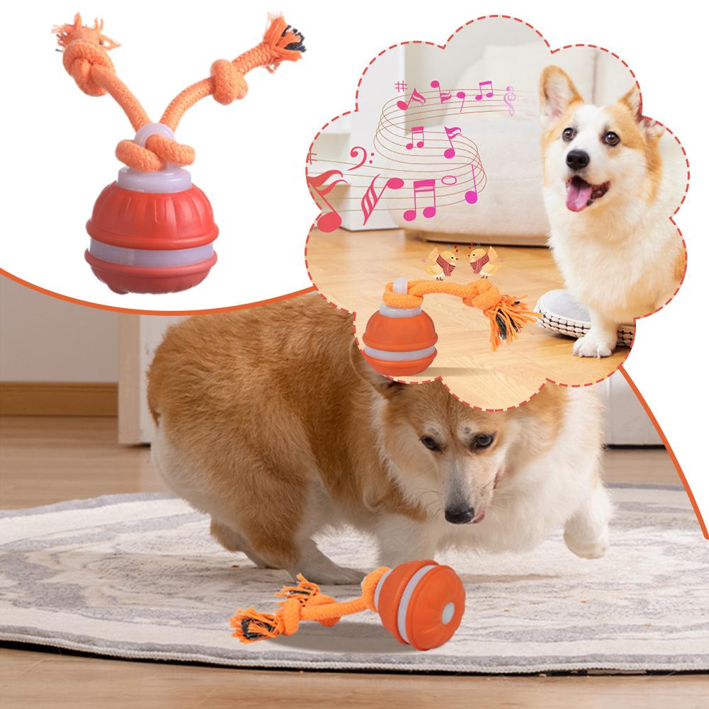 스마트 충전식 강아지 공, 동작 감지 자동 이동 삑삑이 - Automatic Moving Dog Ball 리뷰 및 가격