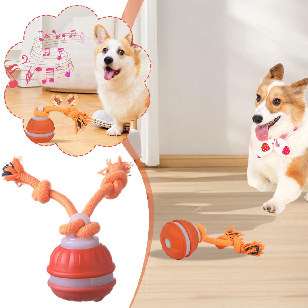 스마트 충전식 강아지 공, 동작 감지 자동 이동 삑삑이 - Automatic Moving Dog Ball 리뷰 및 가격