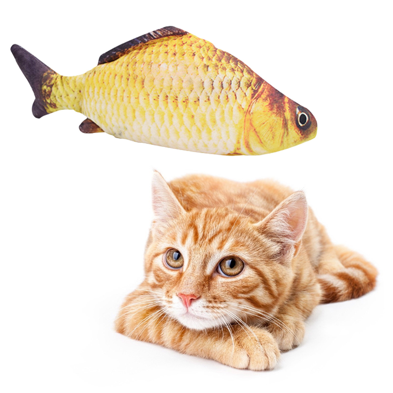 고양이 장난감 물고기 USB 충전식 전동 플로피 피쉬  - Electric Floppy Fish Dog Toy 리뷰 및 가격