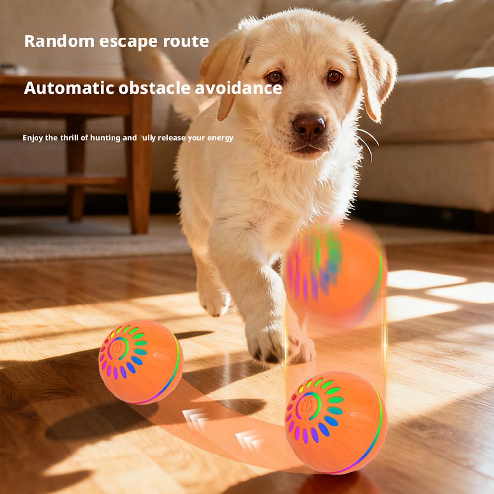 스마트 강아지 장난감 공 자동 인터랙티브 애완동물 전자 - Automatic Moving Dog Ball 리뷰 및 가격