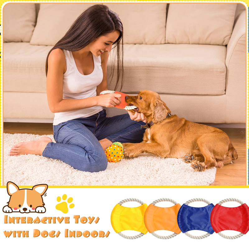 Benepaw-튼튼한 코튼 개 로프 장난감, 씹기 방지 - Flying Disc Dog Training Toy 리뷰 및 가격