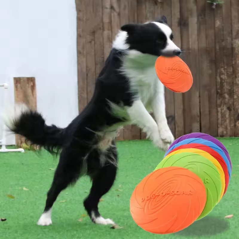 강아지용 인터랙티브 실리콘 플라잉 소서 장난감, 씹어도 - Flying Disc Dog Training Toy 리뷰 및 가격