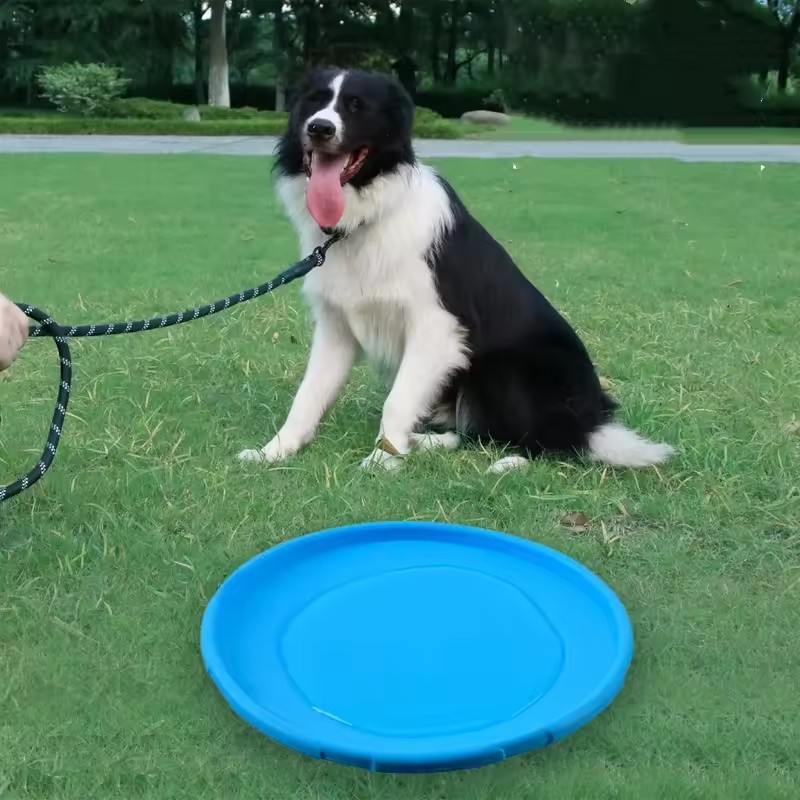 강아지용 인터랙티브 실리콘 플라잉 소서 장난감, 씹어도 - Flying Disc Dog Training Toy 리뷰 및 가격