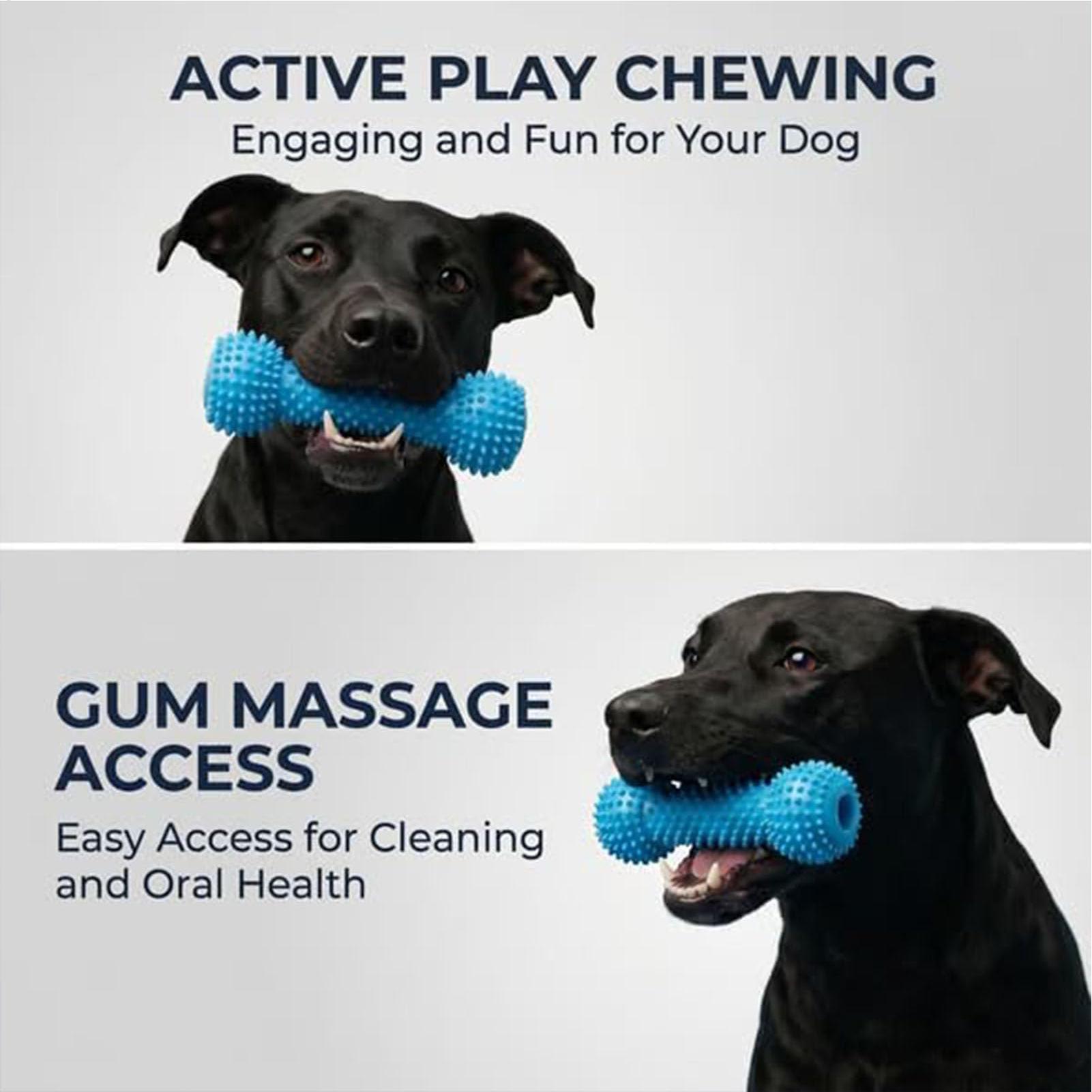 강아지 칫솔질 장난감 씹는 막대 입 벌리는 장난감 애완 - Rubber Treat Dispensing Dog Toy 리뷰 및 가격