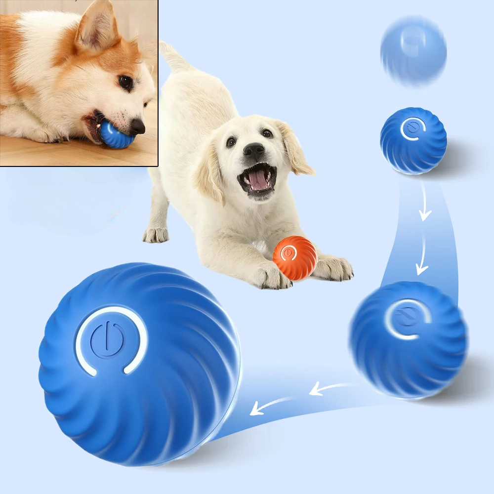 강아지 장난감 공 자동 움직이는 튕기는 롤링볼 USB  - Automatic Moving Dog Ball 리뷰 및 가격