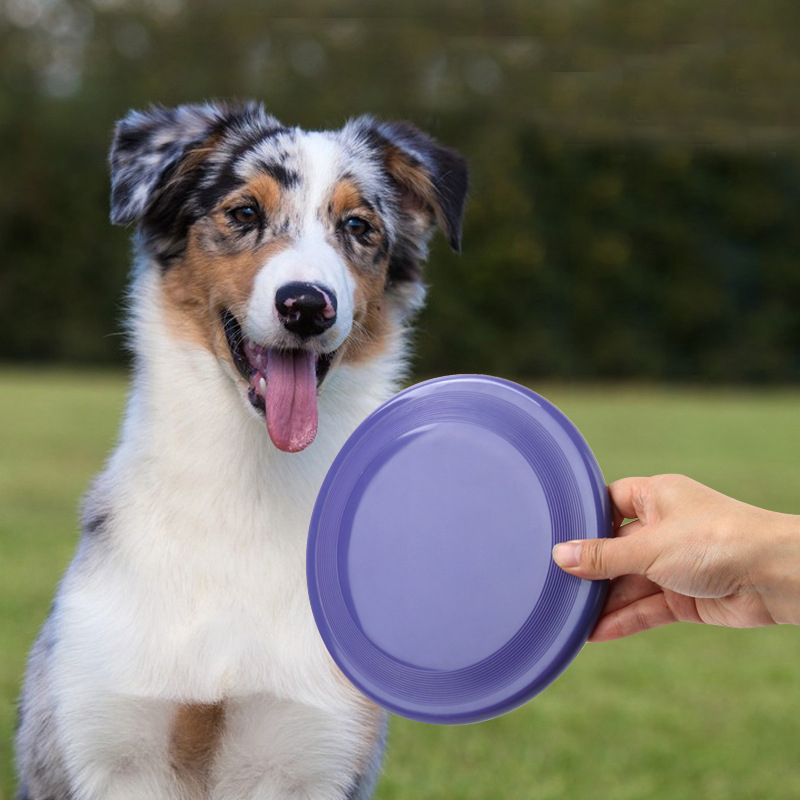 재미있는 비행 쏘서 개 장난감, 개 게임, 비행 디스크 - Flying Disc Dog Training Toy 리뷰 및 가격