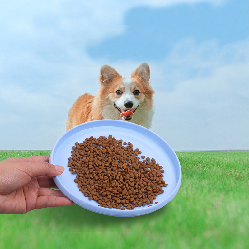 재미있는 비행 쏘서 개 장난감, 개 게임, 비행 디스크 - Flying Disc Dog Training Toy 리뷰 및 가격