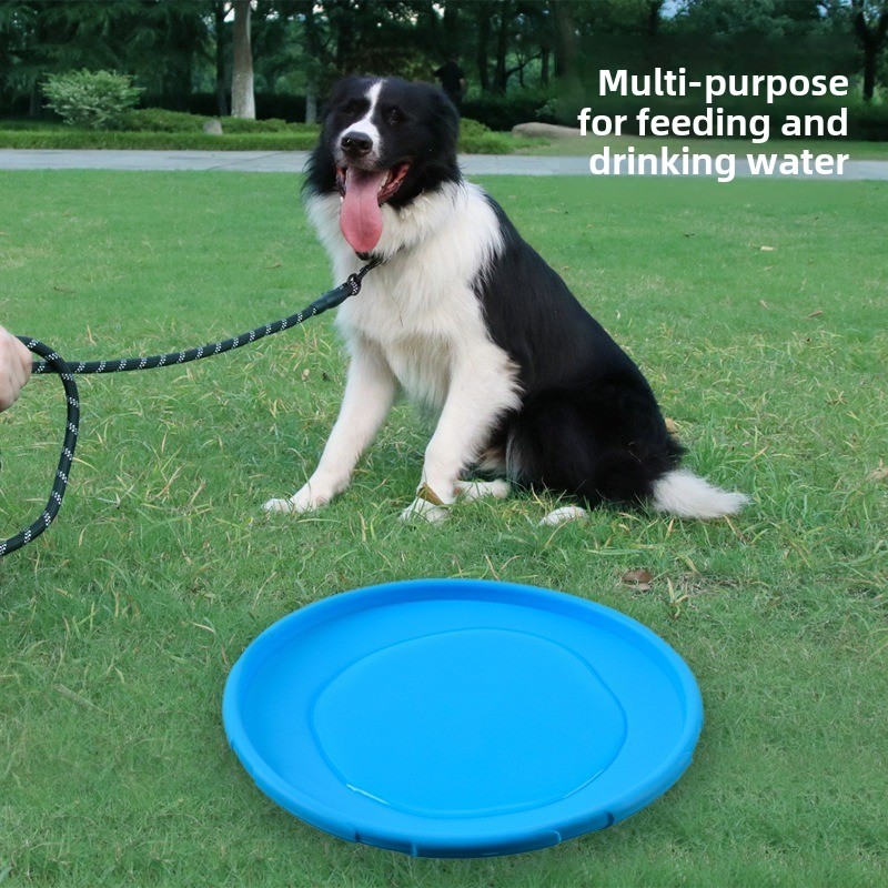 여러 가지 빛깔의 Frisbeed 개 장난감 22cm  - Flying Disc Dog Training Toy 리뷰 및 가격