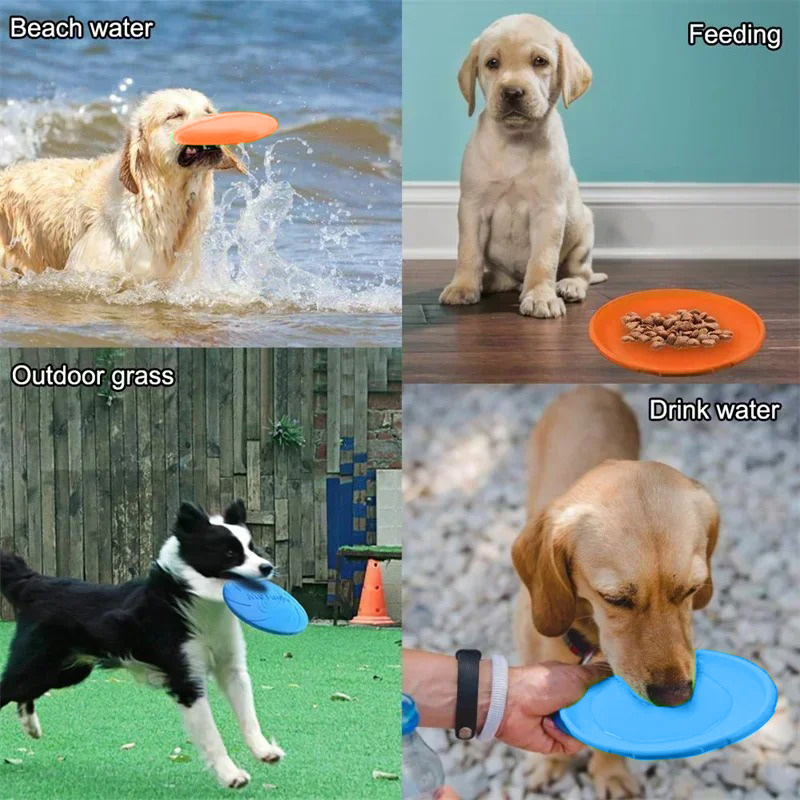 여러 가지 빛깔의 Frisbeed 개 장난감 22cm  - Flying Disc Dog Training Toy 리뷰 및 가격