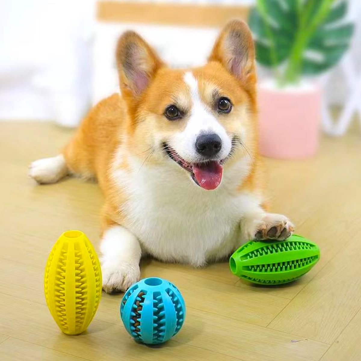 애완 동물 강아지 씹는 장난감 치아 청소 스낵 공 애완 - Indestructible Dog Chew Toy 리뷰 및 가격