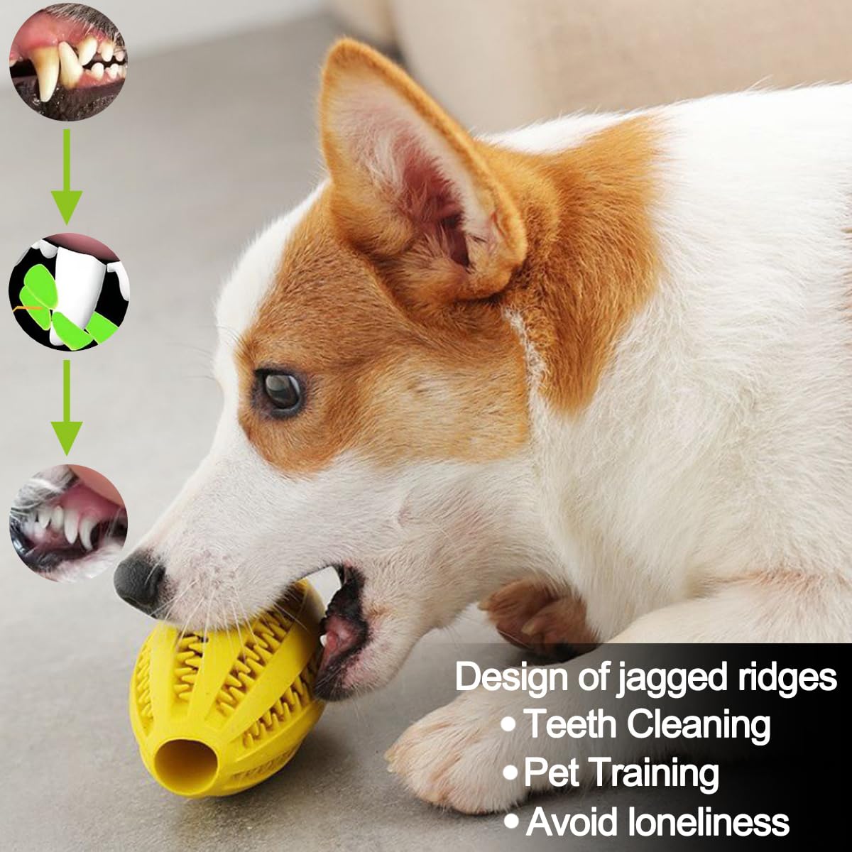 애완 동물 강아지 씹는 장난감 치아 청소 스낵 공 애완 - Indestructible Dog Chew Toy 리뷰 및 가격