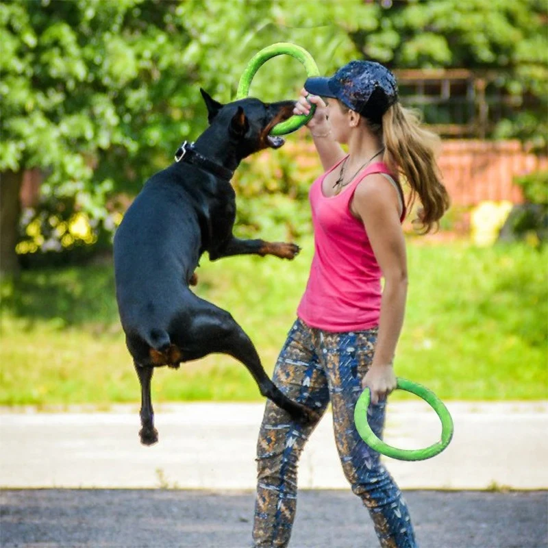 강아지 장난감 애완견 플라잉 디스크 EVA 강아지 훈련 - Flying Disc Dog Training Toy 리뷰 및 가격