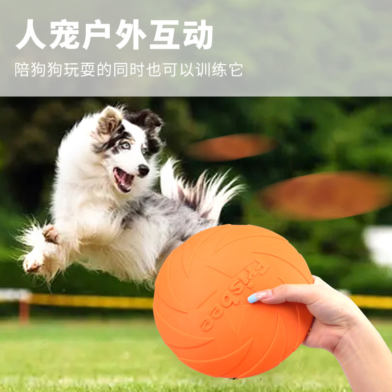 애완동물 장난감, TPR 강아지 프리스비 인터랙티브 엔 - Flying Disc Dog Training Toy 리뷰 및 가격