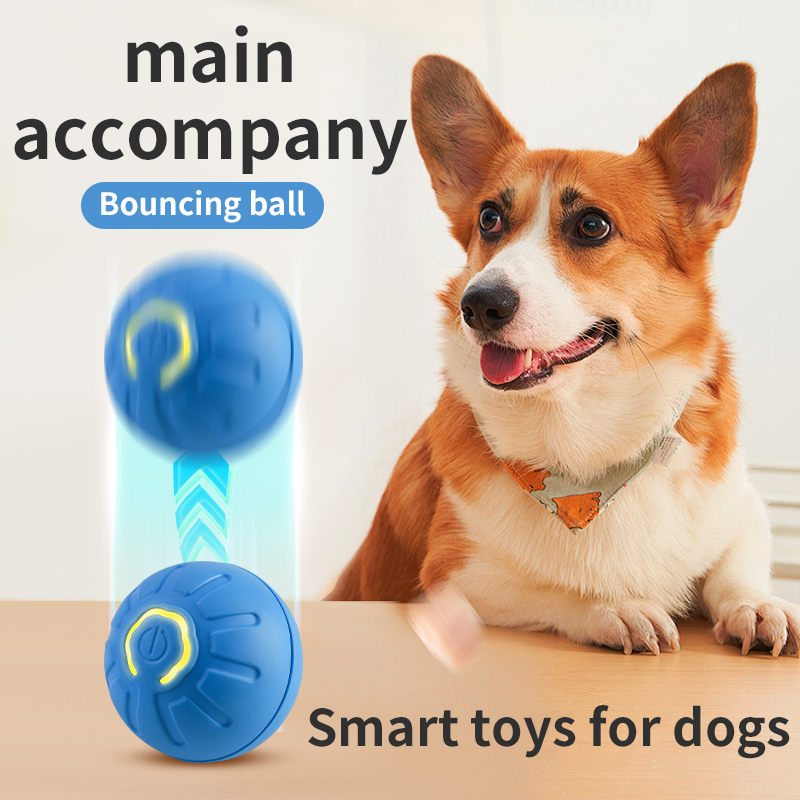 자동 이동 강아지 장난감 공 스마트 USB 점핑 회전  - Automatic Moving Dog Ball 리뷰 및 가격