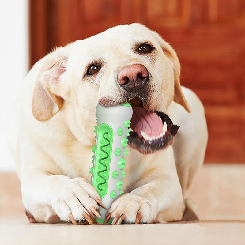 TPR 강아지 치석 제거 스틱 씹는 장난감, 튼튼한 치 - Teeth Cleaning Dog Chew Bone 리뷰 및 가격