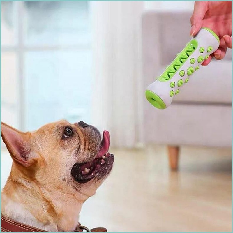 TPR 강아지 치석 제거 스틱 씹는 장난감, 튼튼한 치 - Teeth Cleaning Dog Chew Bone 리뷰 및 가격