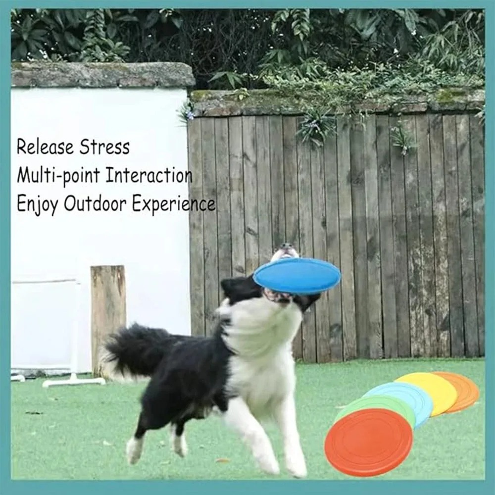실리콘 비행접시 재미있는 강아지 고양이 장난감 애완동물 - Flying Disc Dog Training Toy 리뷰 및 가격